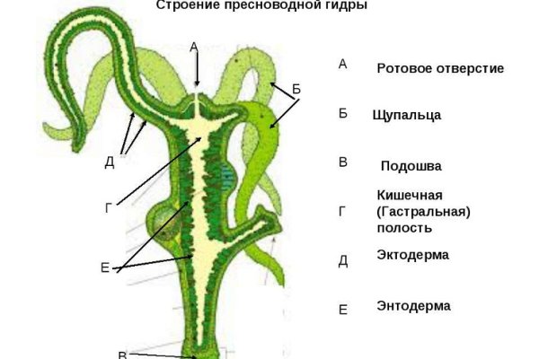 Как найти мегу в торе