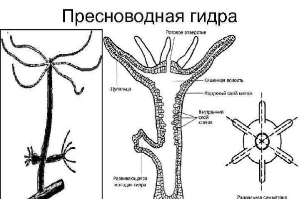 Актуальное зеркало mega